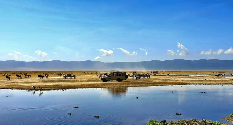 ngorongoro